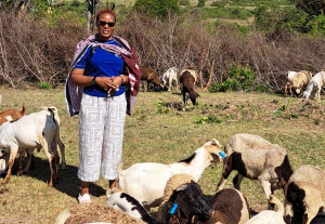Sofy with our goats at maasaiinvestments.com