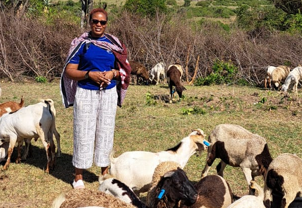 Sofy with our goats at maasaiinvestments.com