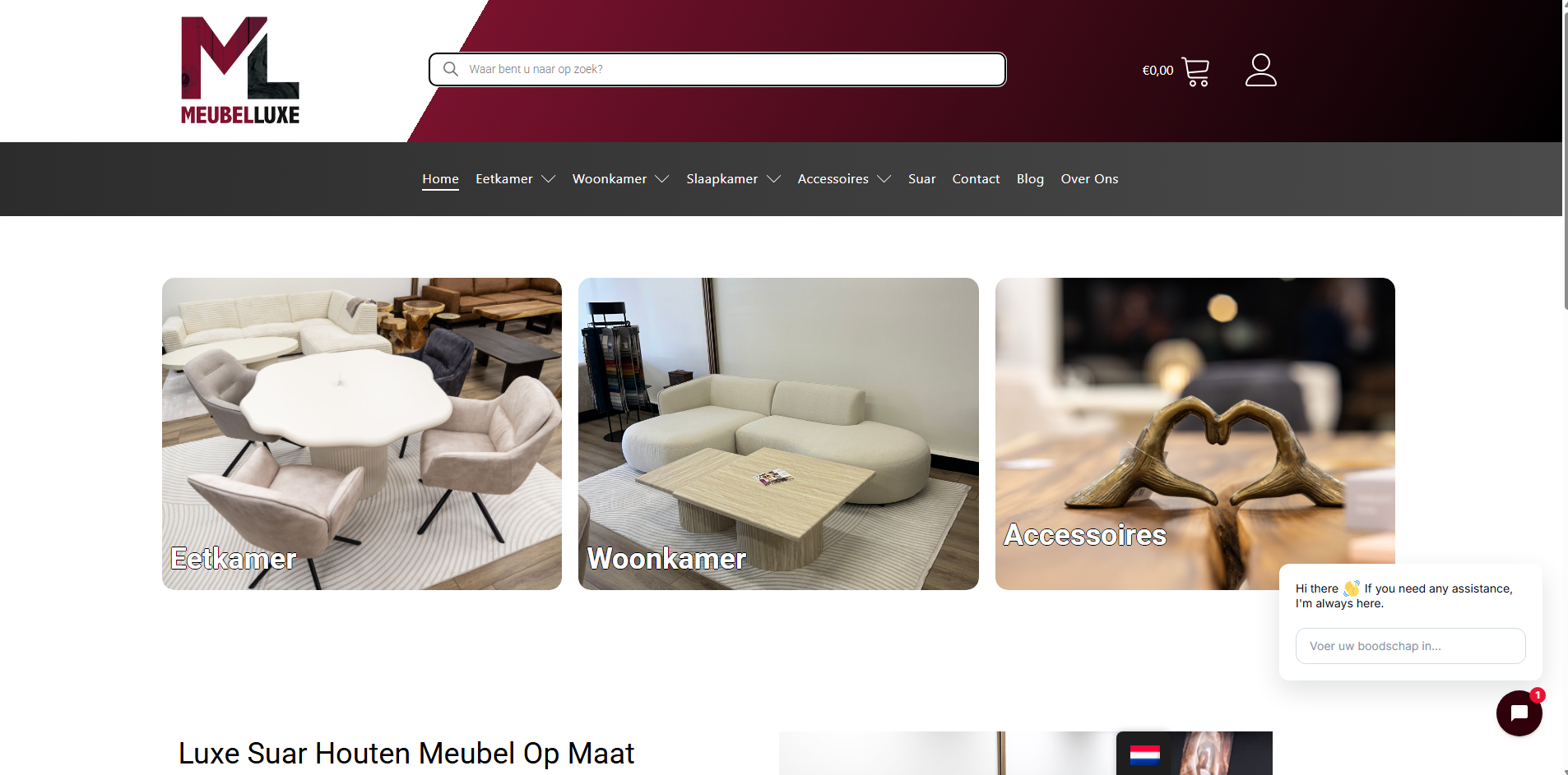 Professional Online Presence & Webshop