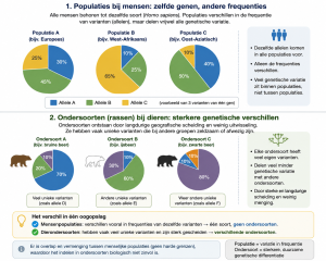 Infographic: menselijke populaties delen dezelfde allelen in andere frequenties; ondersoorten bij dieren tonen sterkere genetische scheiding