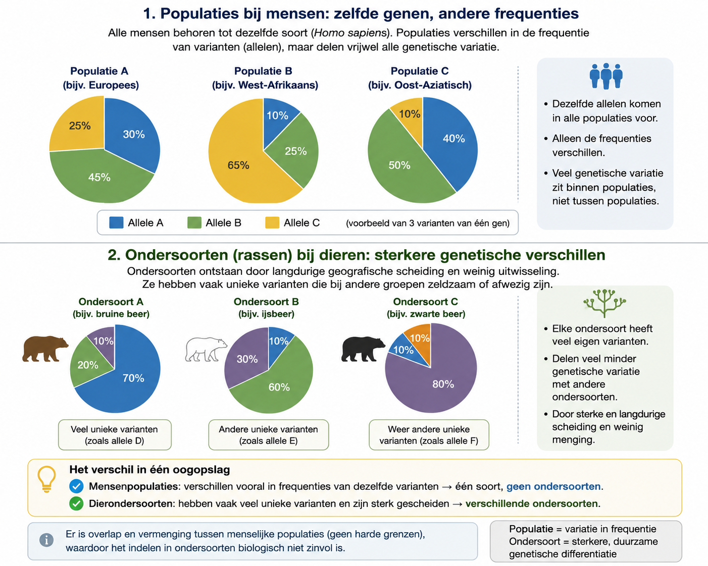 Infographic: menselijke populaties delen dezelfde allelen in andere frequenties; ondersoorten bij dieren tonen sterkere genetische scheiding